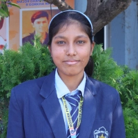roj-bharti